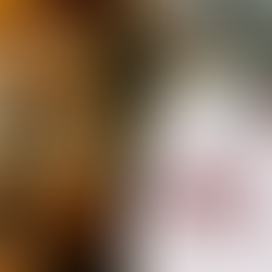 Merry Christmas and Happy New Year