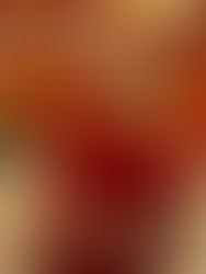 Bardo Prayers and Special Rites for Ani Drolma