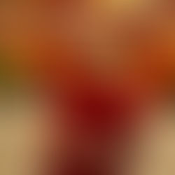 Bardo Prayers and Special Rites for Ani Drolma