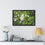 Thumbnail: Framed Horizontal Print - White Plumeria