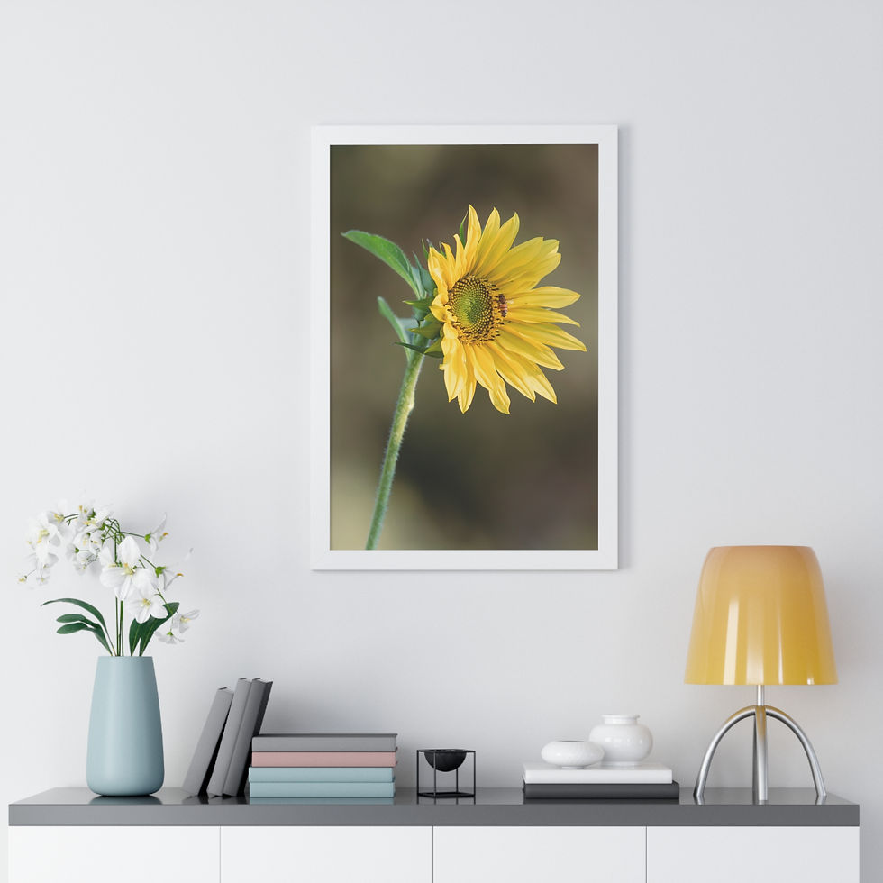 Thumbnail: Framed Vertical Print - Sunflower & Bee