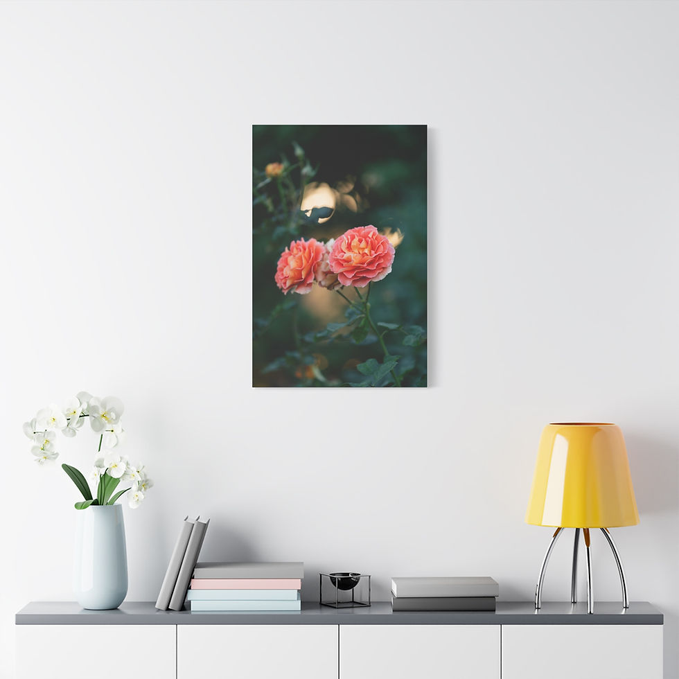 Thumbnail: Vertical Canvas Print- Pink Roses at Sunset