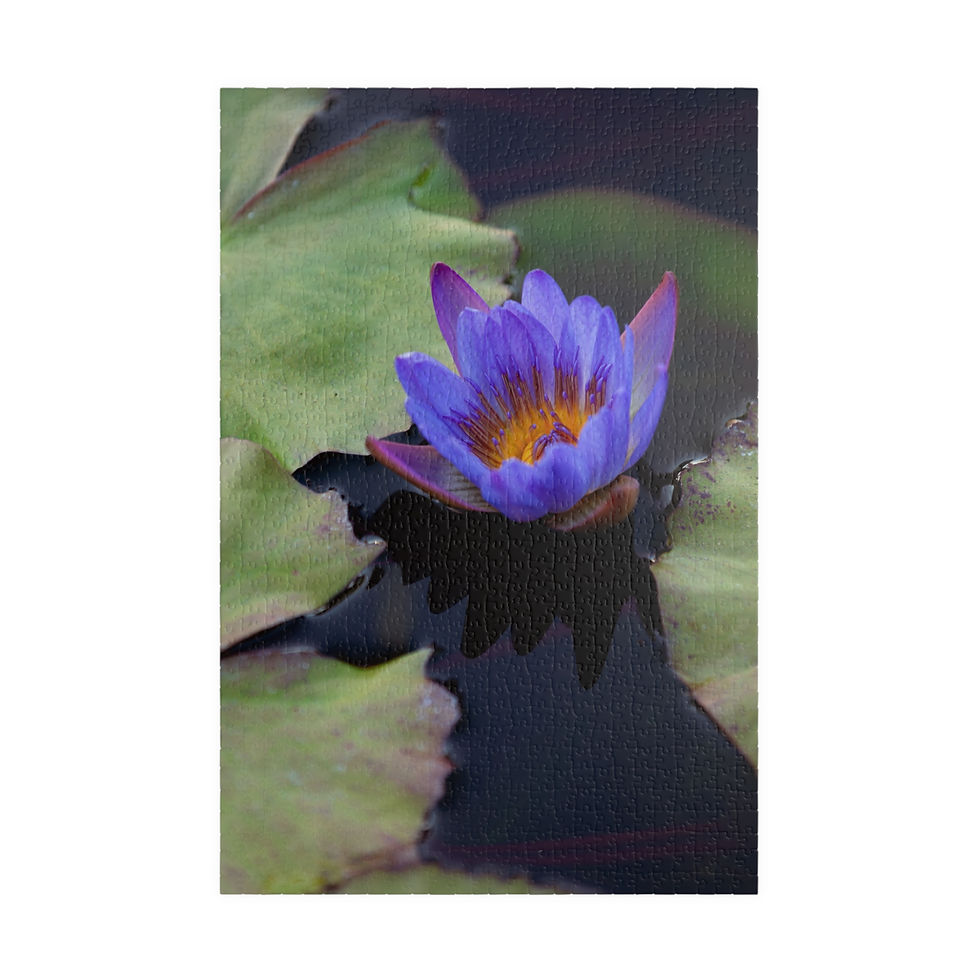Thumbnail: Puzzle (110, 252, 520, 1014-pieces)- Purple Water Lily
