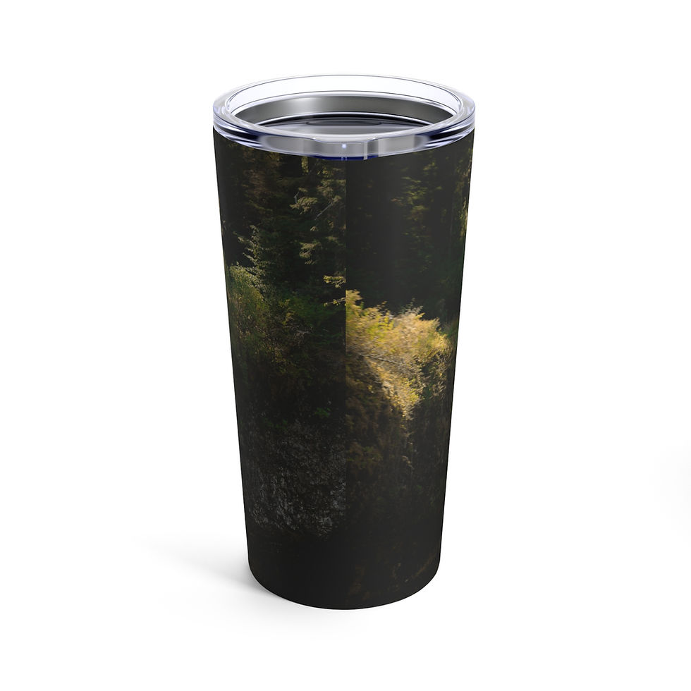 Thumbnail: Tumbler 20oz- Silver Falls