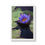 Thumbnail: Framed Vertical Print - Purple Water Lily