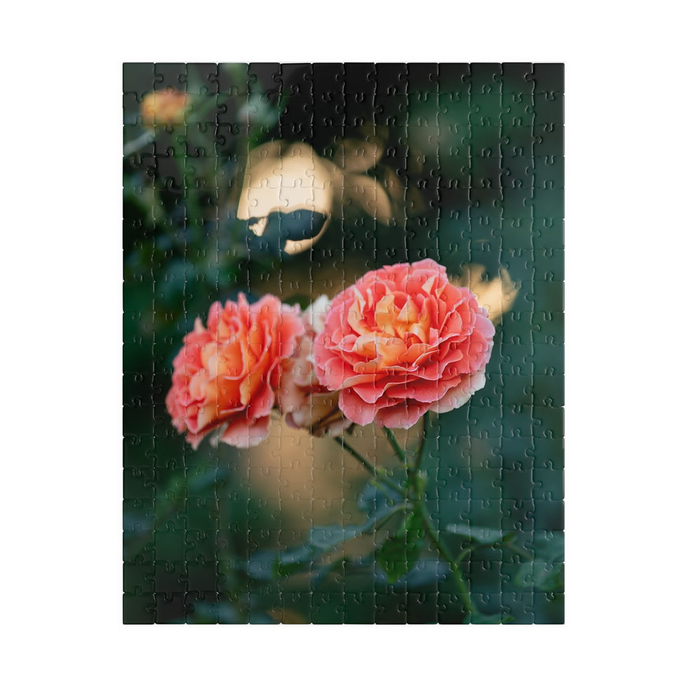 Thumbnail: Puzzle (110, 252, 520, 1014-pieces)- Roses at Sunset
