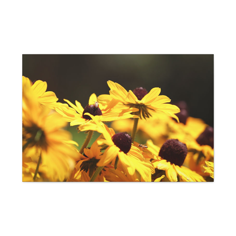 Thumbnail: Horizontal Canvas Print- Bees and Sunny Yellow Flowers