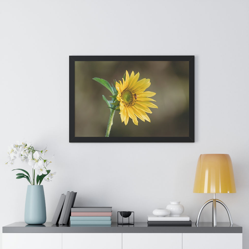 Thumbnail: Framed Horizontal Print- Sunflower & Bee