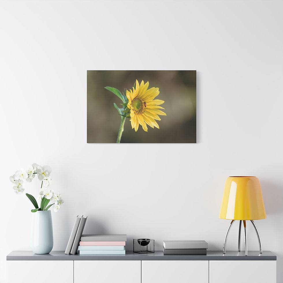 Thumbnail: Horizontal Canvas Print- Sunflower & Bee