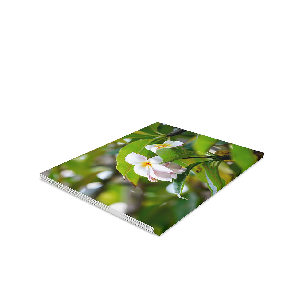 Thumbnail: Greeting Cards Set - White Plumeria