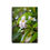 Thumbnail: Spiral Notebook (Ruled Line)- White Plumeria
