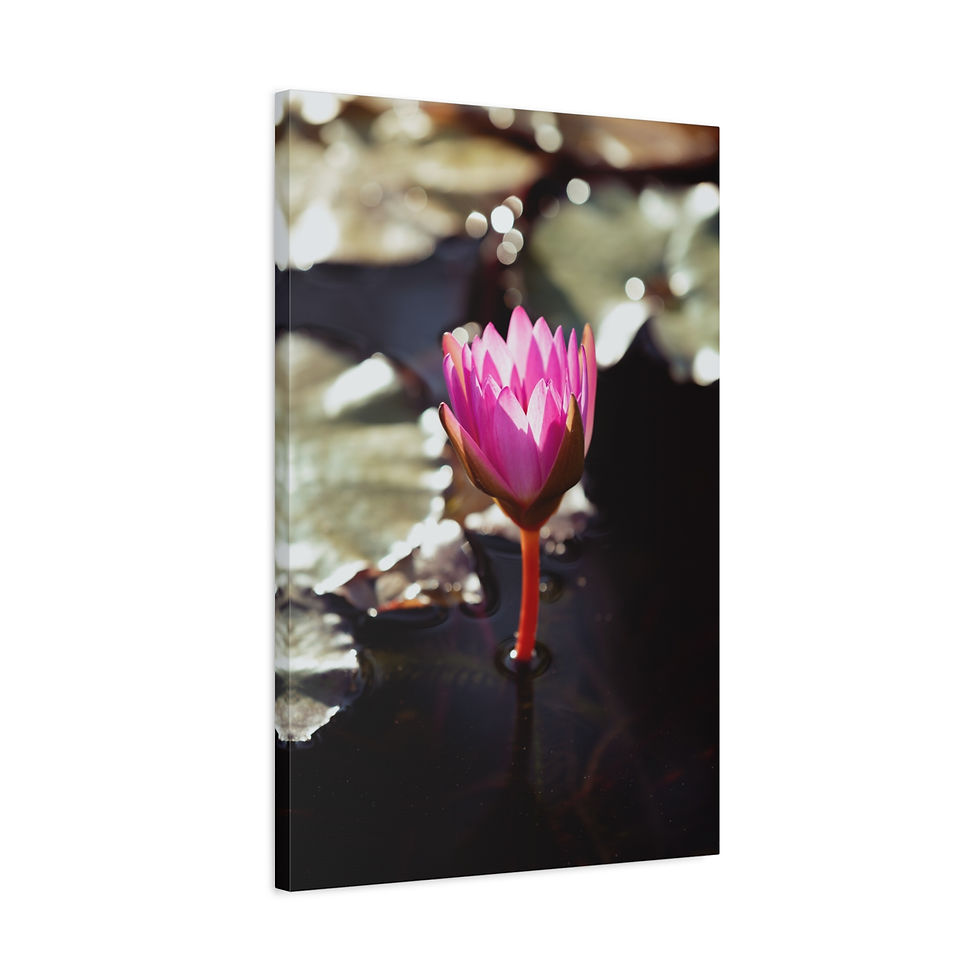 Thumbnail: Vertical Canvas Print- Pink Water Lily