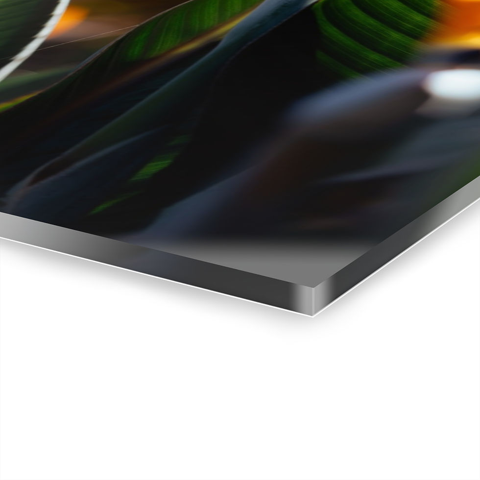 Thumbnail: Acrylic Print - Bird of Paradise Flower