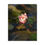 Thumbnail: Puzzle (110, 252, 520, 1014-pieces)- Water Lily