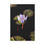 Thumbnail: Vertical Canvas Print- Bee & Water Lily