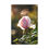 Thumbnail: Vertical Canvas Print- Bee & Pink Rose