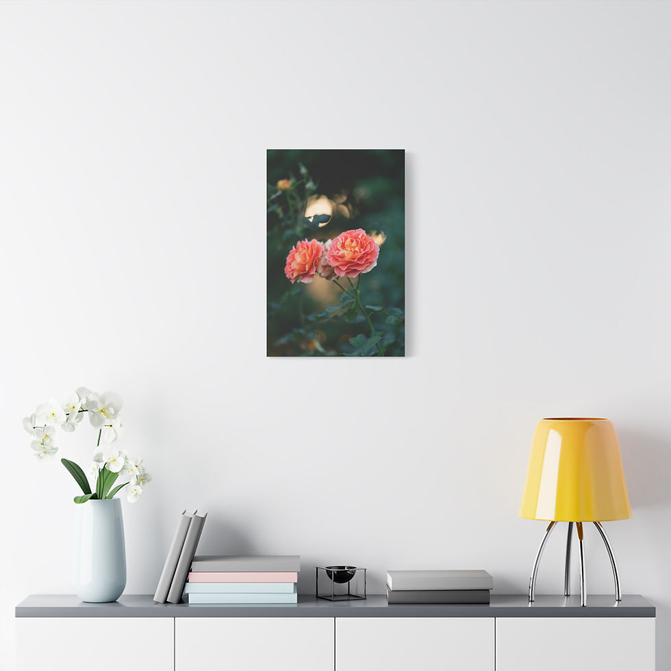 Thumbnail: Vertical Canvas Print- Pink Roses at Sunset