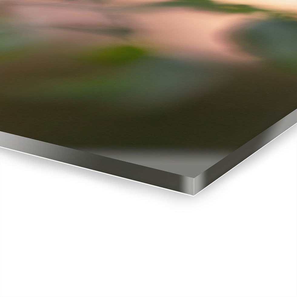 Thumbnail: Acrylic Print - Purple Rose at Sunset