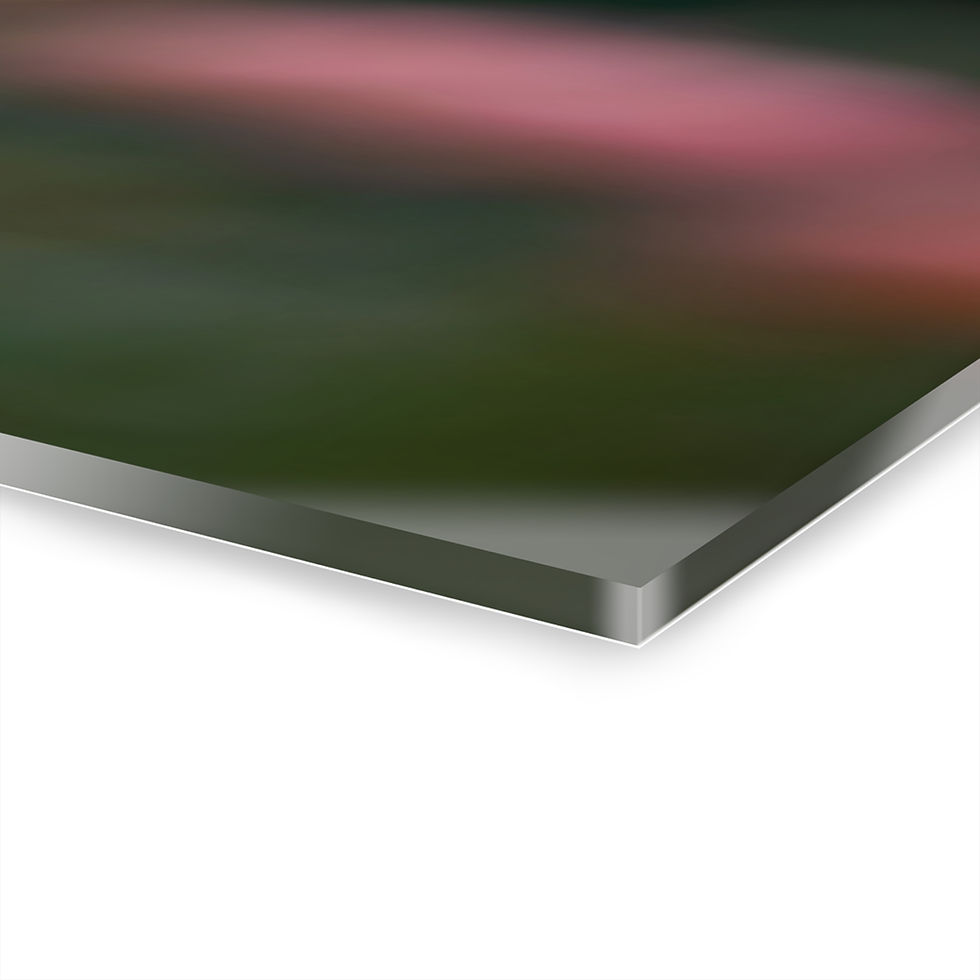 Thumbnail: Acrylic Print - Pink Rose at Sunset