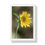 Thumbnail: Framed Vertical Print - Sunflower & Bee