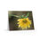 Thumbnail: Greeting Cards Set - Sunflower and Bee Design 