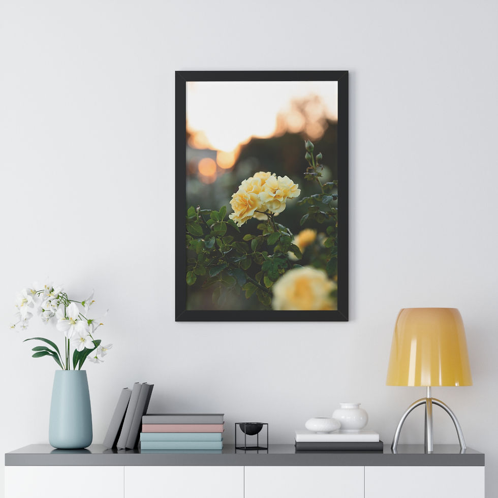 Thumbnail: Framed Vertical Print- Yellow Roses at Sunset