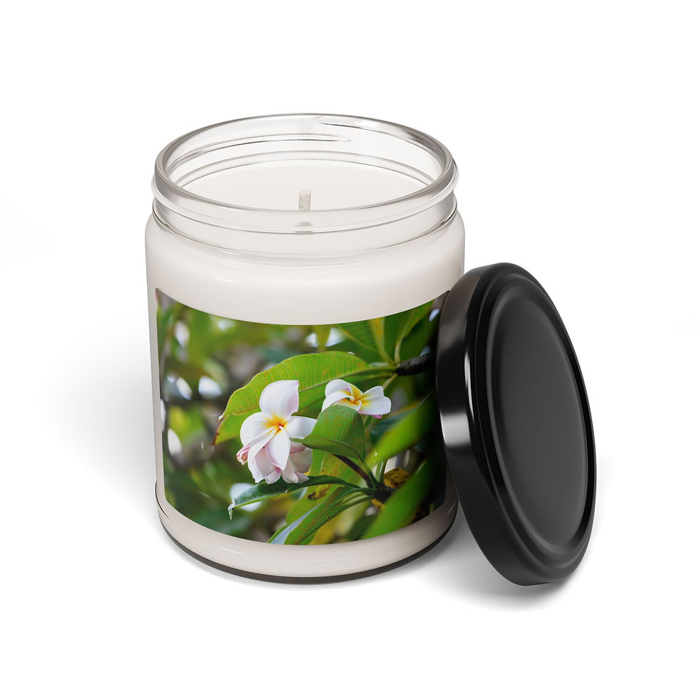 Scented Soy Candle, 9oz - White Plumeria Flowers