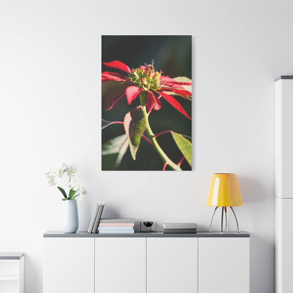 Vertical Canvas Print- Poinsettia and Bee