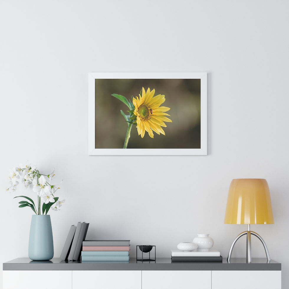 Thumbnail: Framed Horizontal Print- Sunflower & Bee