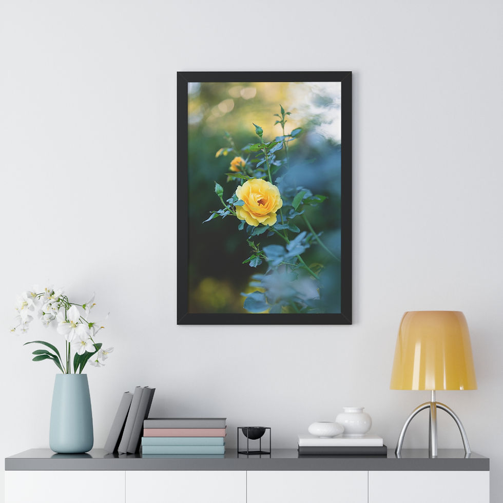 Thumbnail: Framed Vertical Print- Yellow Rose at Sunset