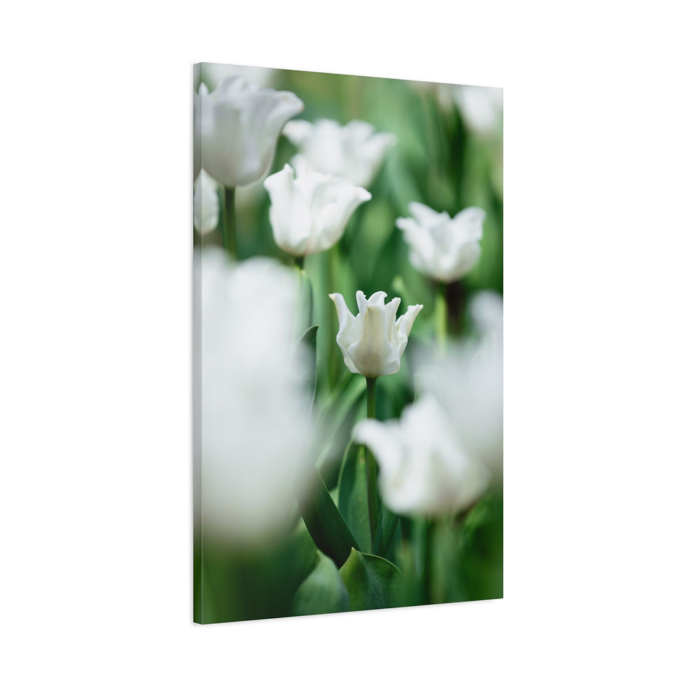 Thumbnail: Vertical Canvas Print- White Flowers