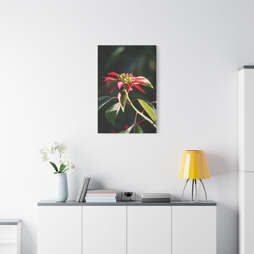 Thumbnail: Vertical Canvas Print- Poinsettia and Bee