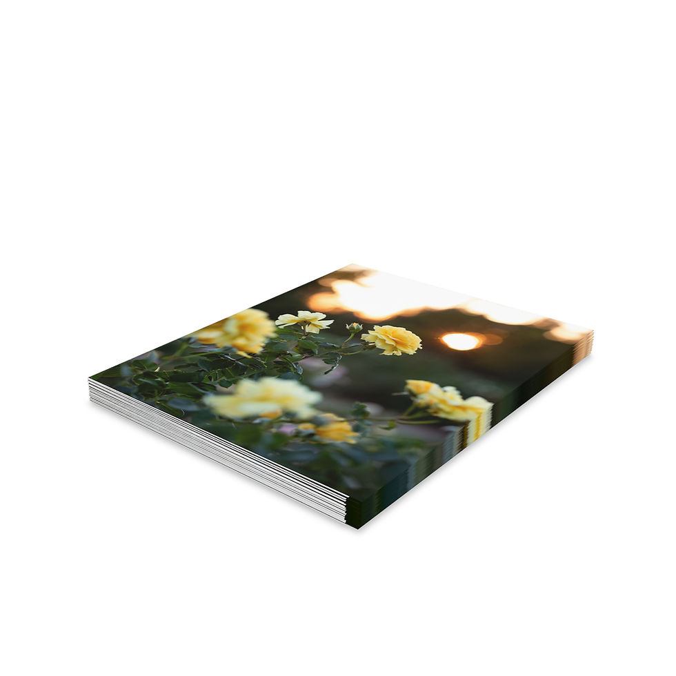 Thumbnail: Greeting Cards Set - Yellow Roses at Sunset