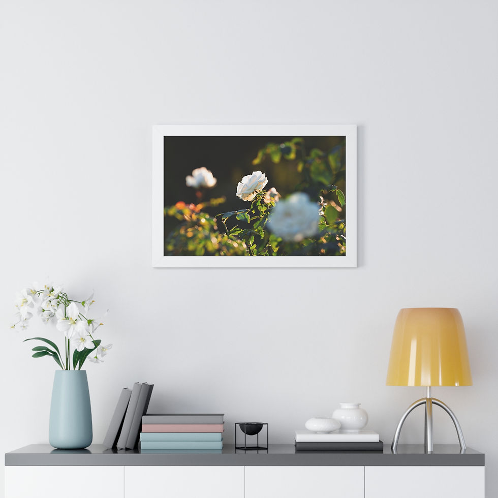 Thumbnail: Framed Horizontal Print- White Roses