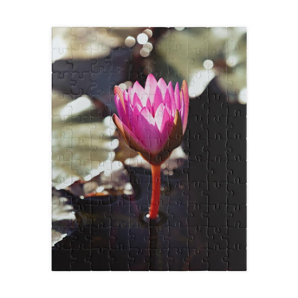 Thumbnail: Puzzle (110, 252, 520, 1014-pieces)- Pink Water Lily