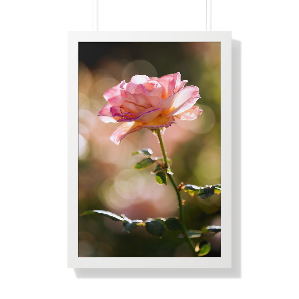 Thumbnail: Framed Vertical Print- Pink Rose