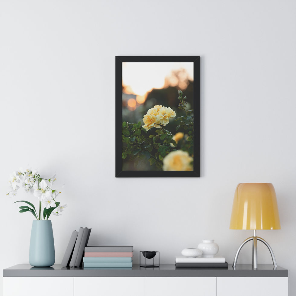 Thumbnail: Framed Vertical Print- Yellow Roses at Sunset