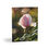 Thumbnail: Greeting Cards Set - Bee & Pink Rose
