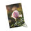 Thumbnail: Puzzle (110, 252, 520, 1014-pieces)- Bee & Pink Rose