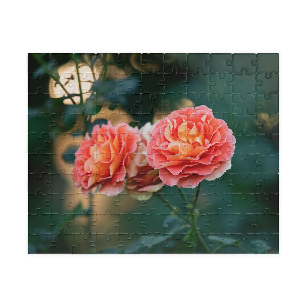 Thumbnail: Puzzle (110, 252, 520, 1014-pieces)- Pink Roses