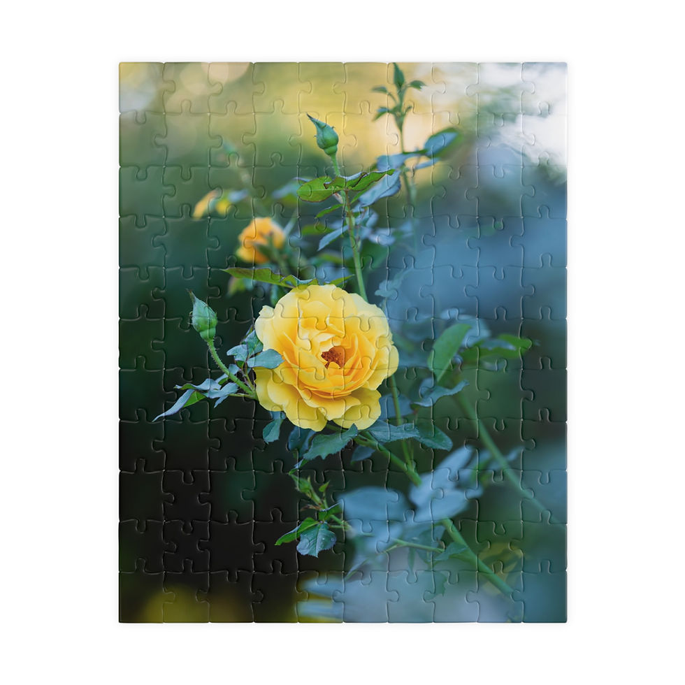 Thumbnail: Puzzle (110, 252, 520, 1014-pieces)- Yellow Rose at Sunset