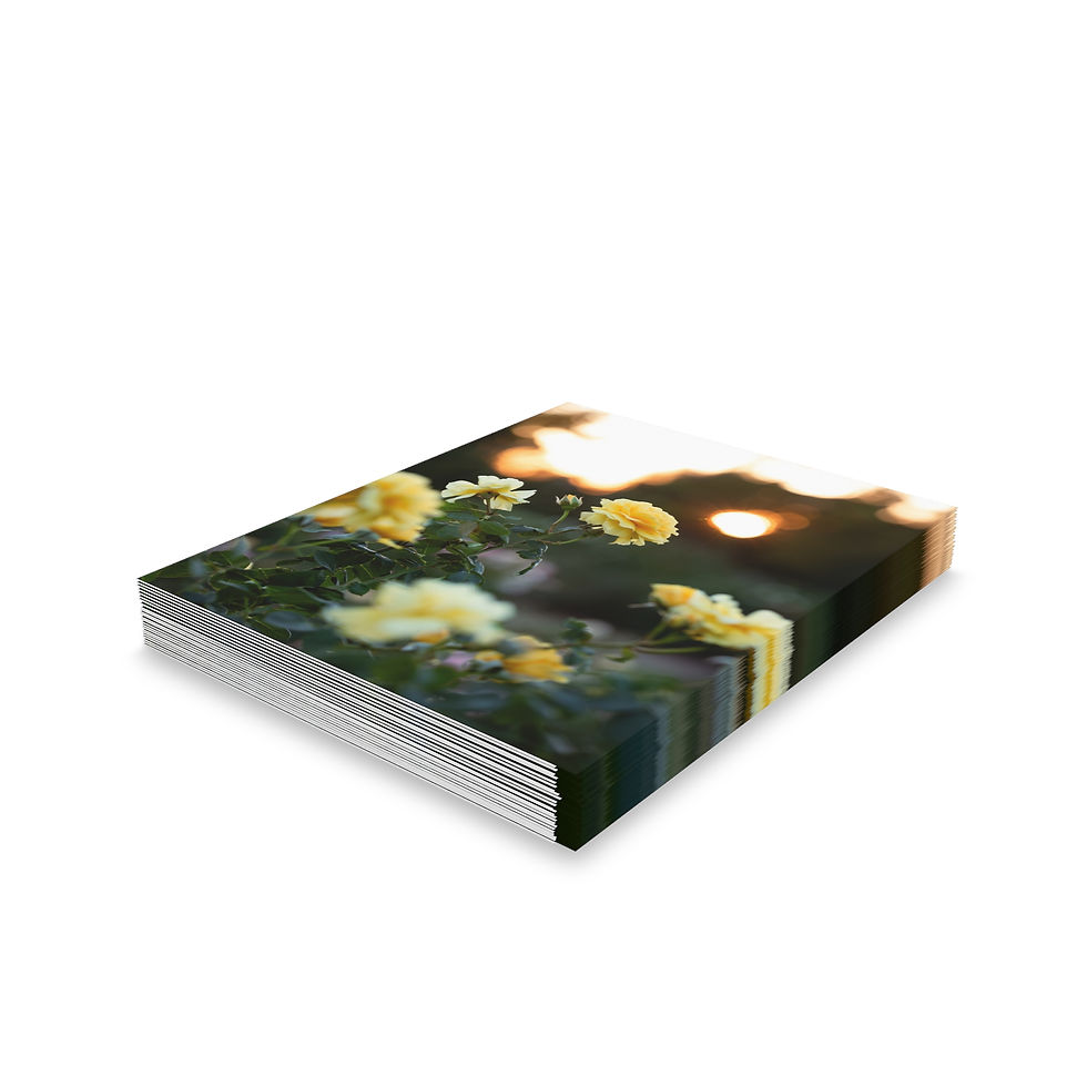 Thumbnail: Greeting Cards Set - Yellow Roses at Sunset