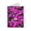 Thumbnail: Spiral Notebook (Ruled Line)- Purple Flowers