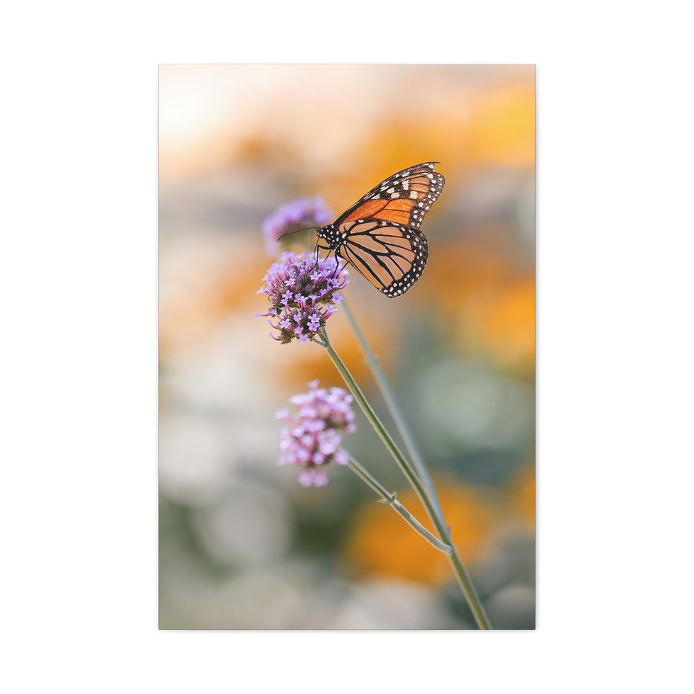 Thumbnail: Vertical Canvas Print- Butterfly