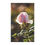 Thumbnail: Tea Towels - Pink Rose