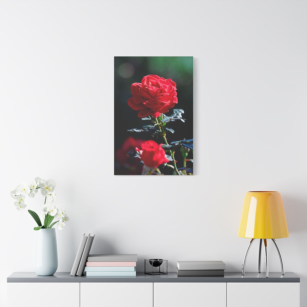 Thumbnail: Vertical Canvas Print- Red Roses