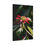 Thumbnail: Vertical Canvas Print- Poinsettia and Bee