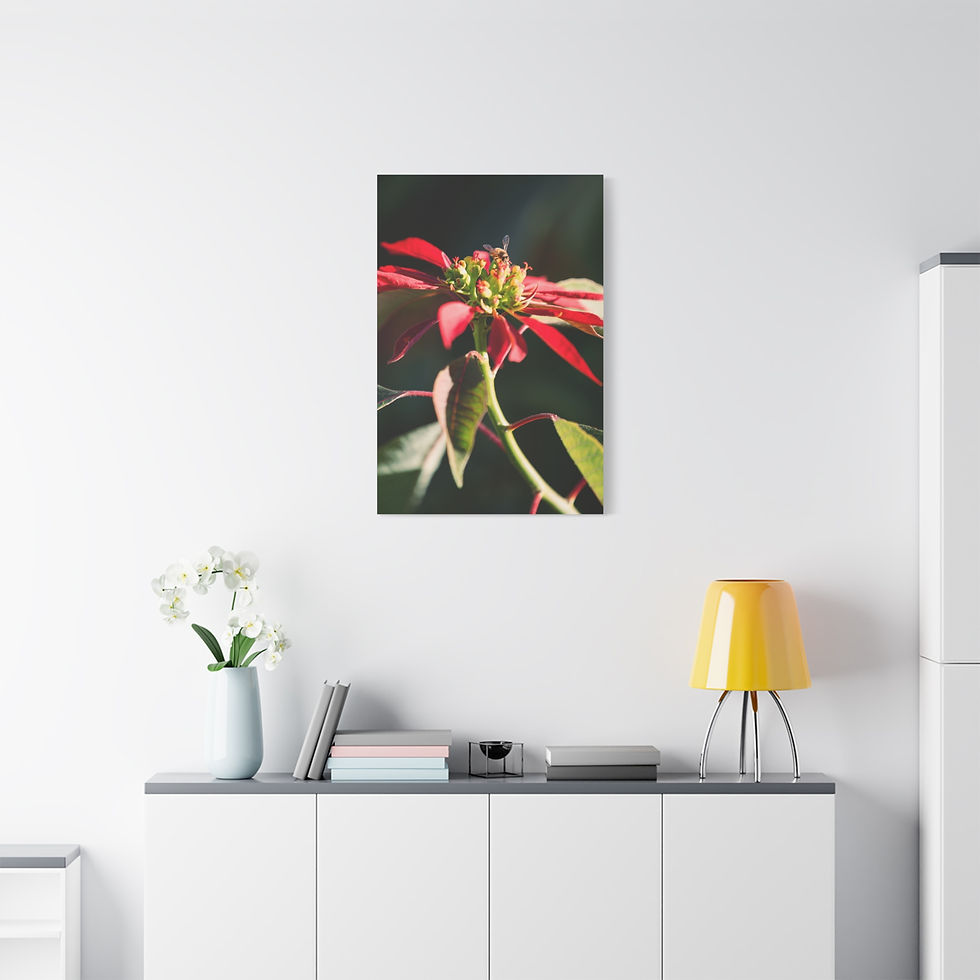 Thumbnail: Vertical Canvas Print- Poinsettia and Bee
