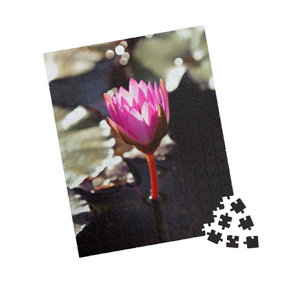 Thumbnail: Puzzle (110, 252, 520, 1014-pieces)- Pink Water Lily