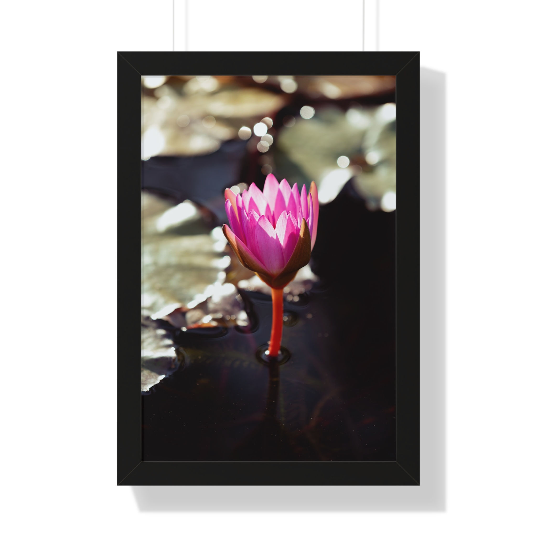 Framed Vertical Print - Pink Water Lily